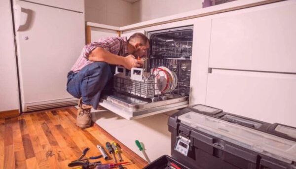 Dishwasher professional technician