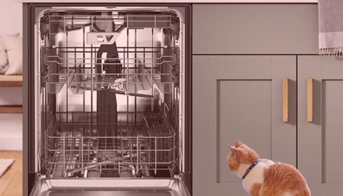 whirlpool dishwasher not starting